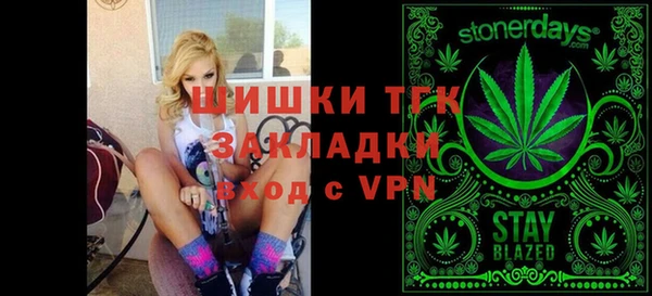 ешки Алексин