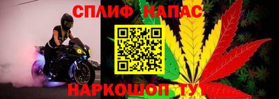 mdpv Обнинск