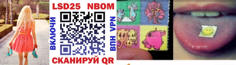 где найти   Кондопога  darknet формула  Марки 25I-NBOMe 1500мкг 