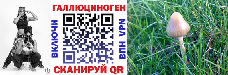 Псилоцибиновые грибы Magic Shrooms  маркетплейс наркотические препараты  Кондопога  хочу наркоту 
