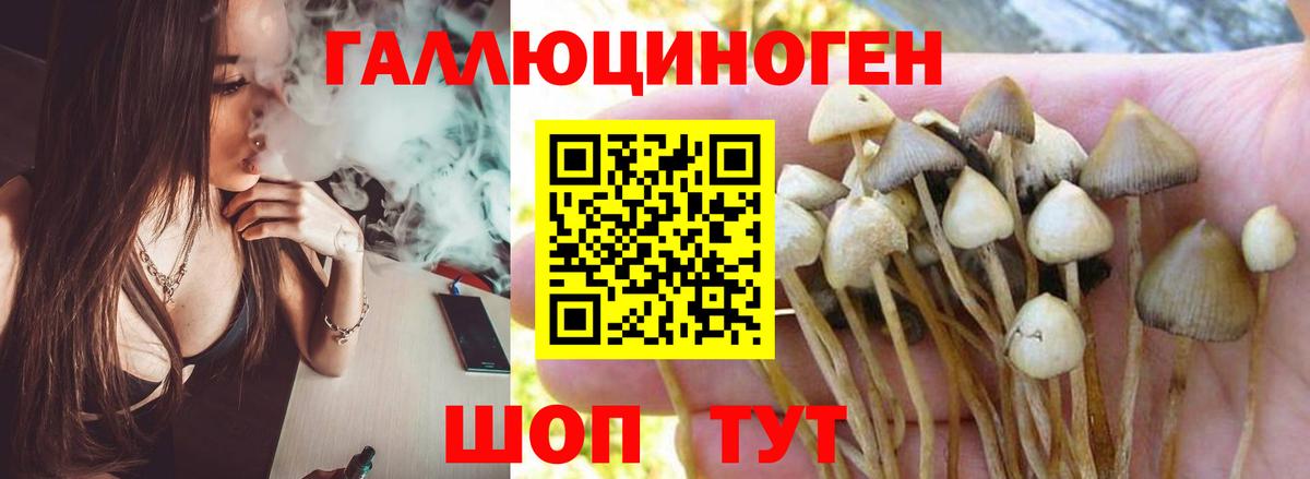 Псилоцибиновые грибы мицелий  как найти закладки  Кондопога  Вход с VPN  Псилоцибиновые грибы MAGIC MUSHROOMS 